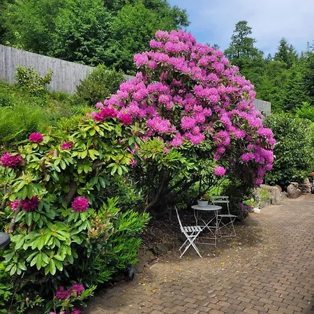 Privatunterkunft Gästezimmer Haus Talblick